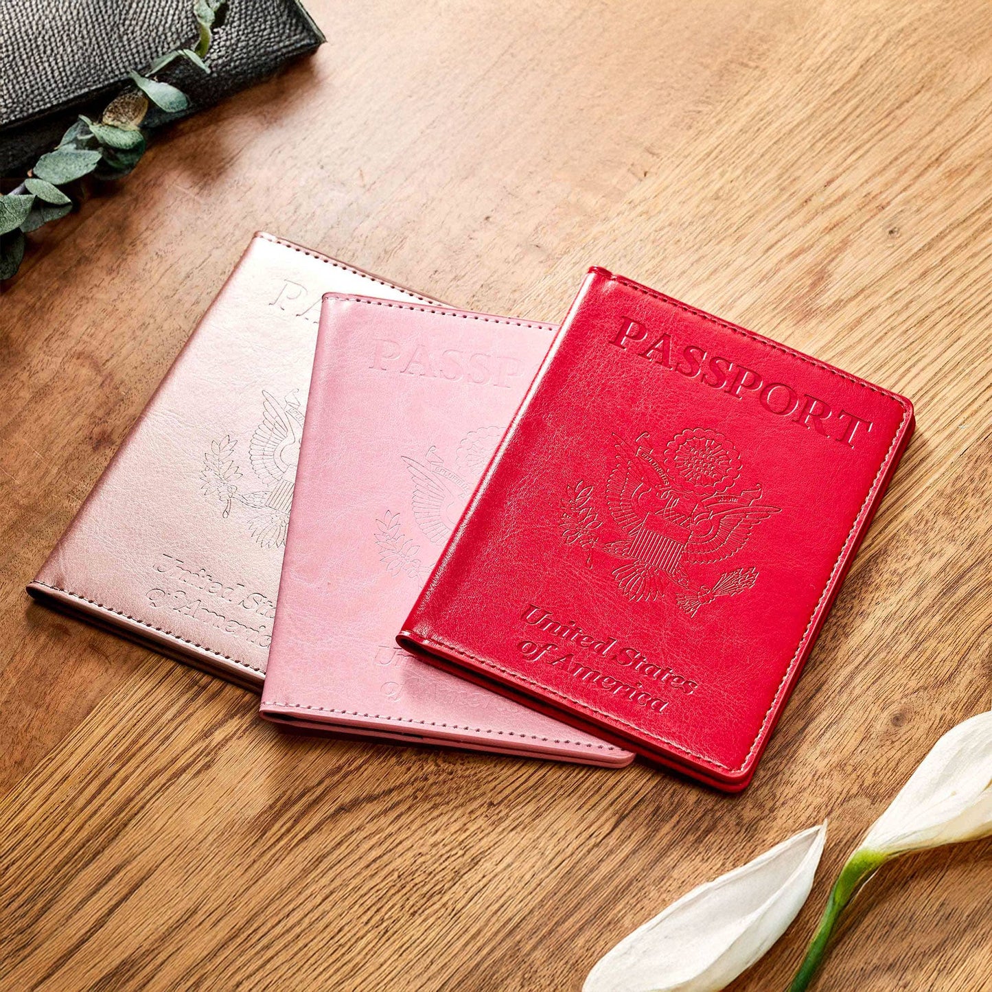 Stylish US Passport holder