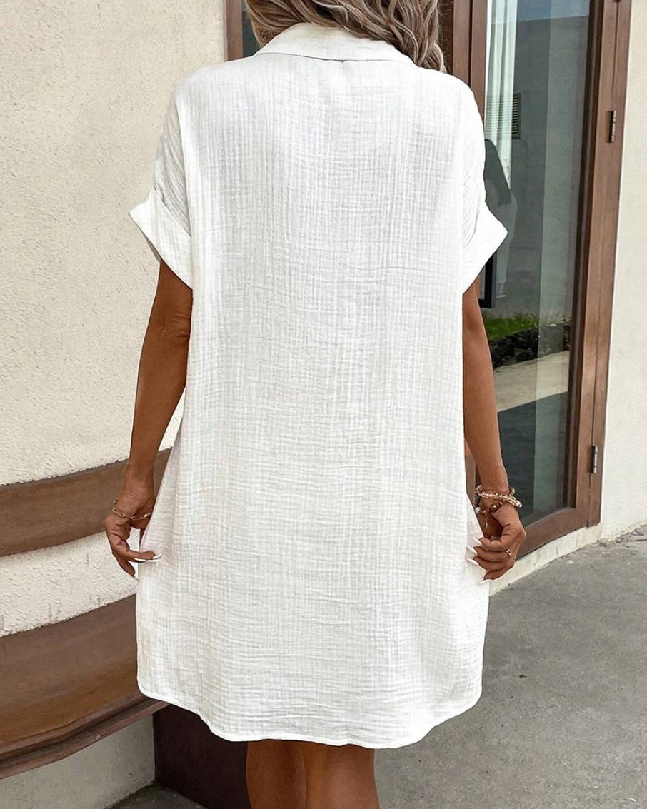 Simple loose V-neck single breasted solid color shirt dress -2 colors