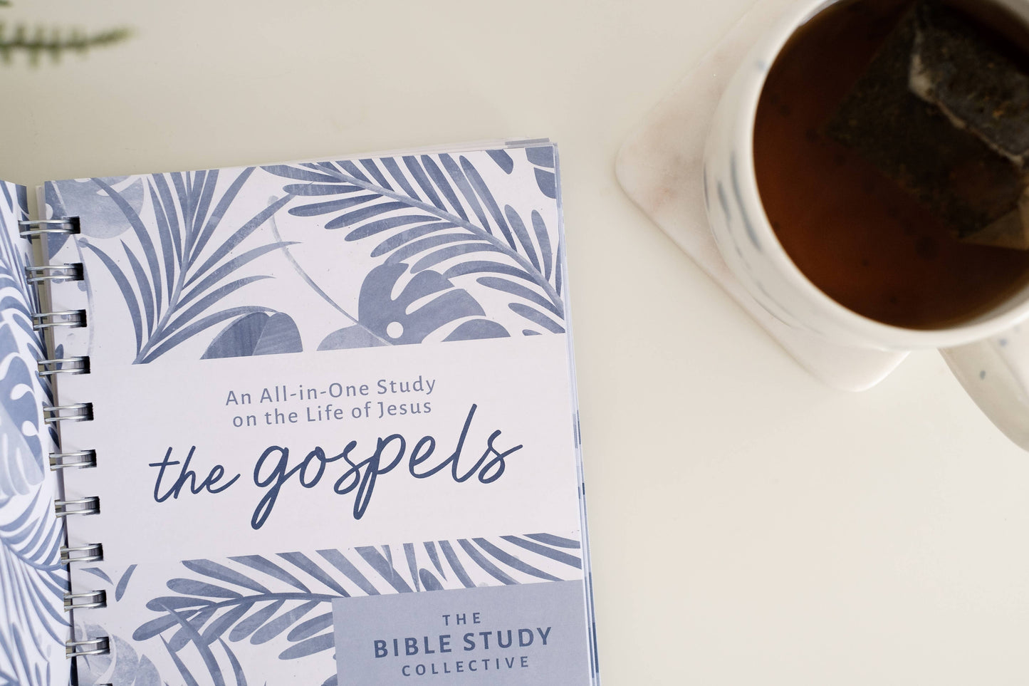 The Gospels